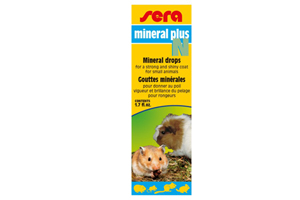 Vitamin thực phẩm chức năng cho chuột Hamter food additives / vitamins
